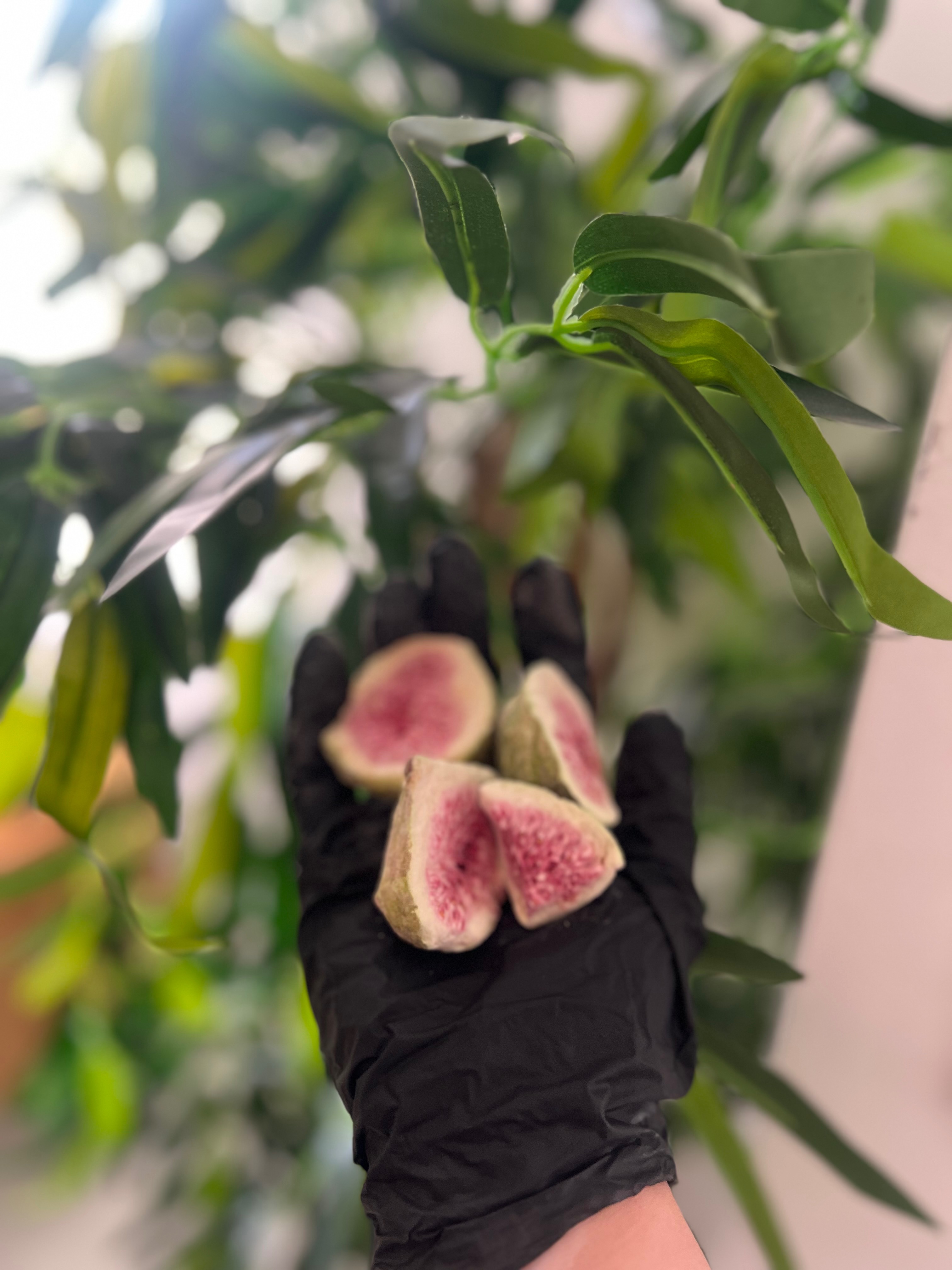 Freeze dried Fig fruit